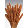 SETARIA 24" Burnt Oak- SETARIA 24" Burnt Oak-
